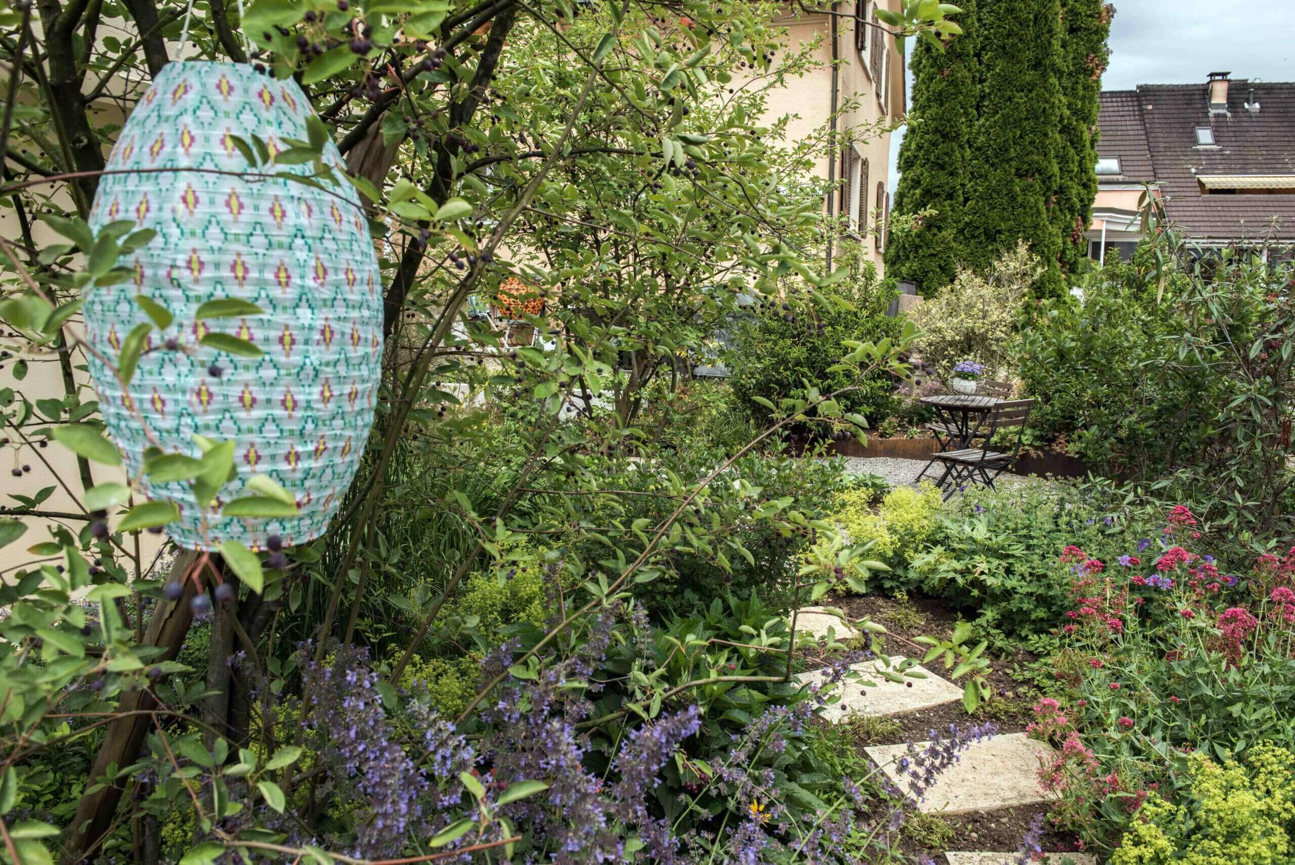 Bunte Laterne im Garten Bunte Laterne hängt zwischen Pflanzen in einem Garten mit verschiedenen Blumen und Sträuchern.