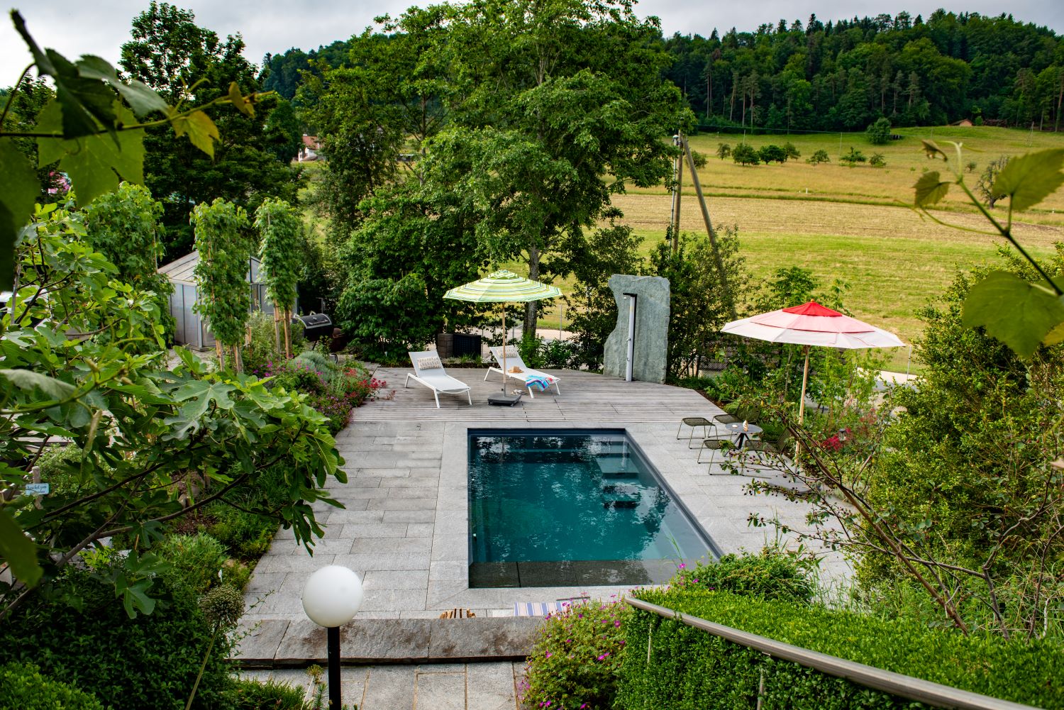 Naturpool im Garten mit Holzdeck und Blick ins Grüne, Forster Gartenbau Naturpool in der Schweiz